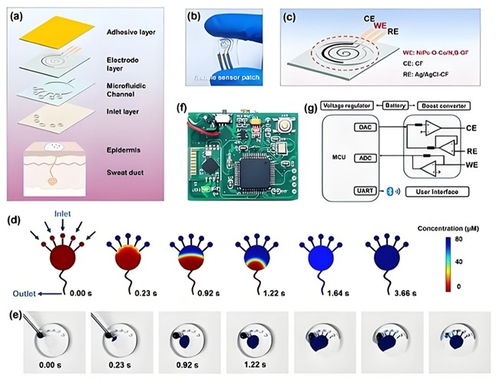 中科數惠以網絡科技賦能，成功助力中西醫結合糖尿病防治系統創新